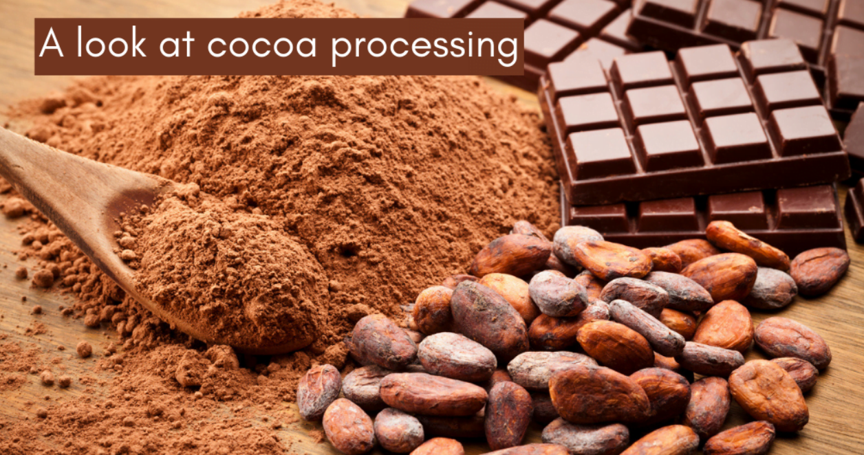 The Top Cocoa-Producing Countries - World Populace