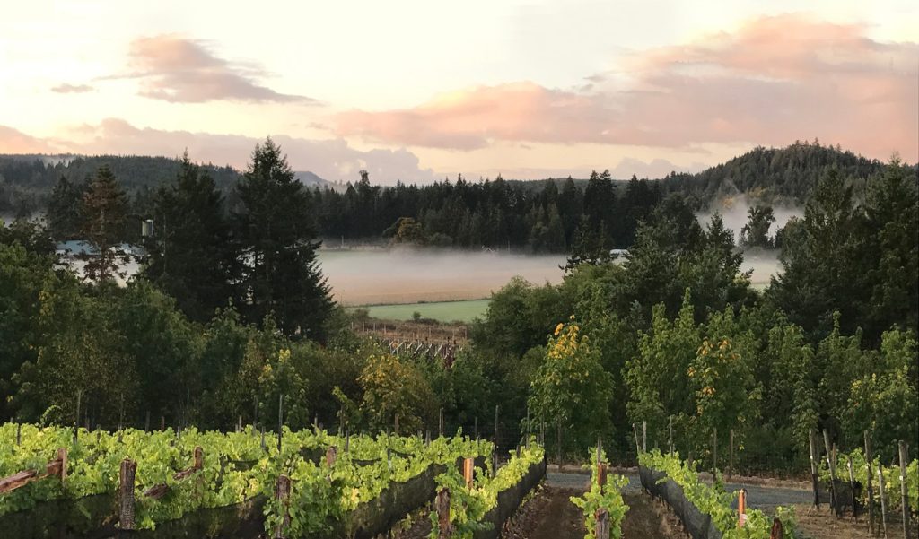 British Columbia'hs Cowichan Valley Vineyards