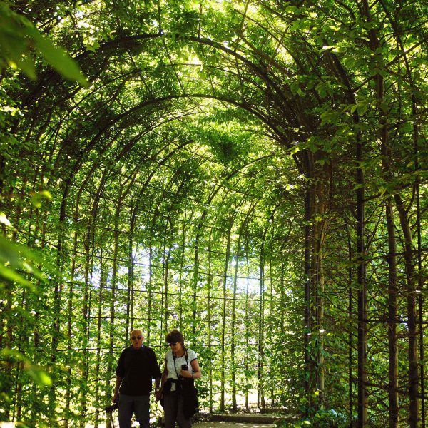 the alnwick garden poison garden photos