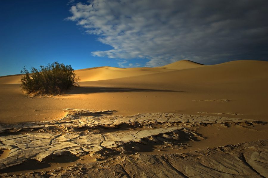 what is the sahara desert known for